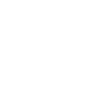 白色logo