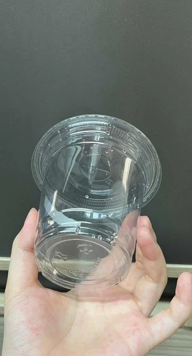 12 oz Recyclable Clear PET Coffee Cups Cold Cups | Wholesale 1000/Case - Image 9