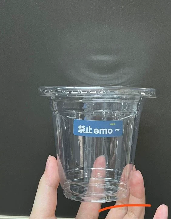 12 oz Recyclable Clear PET Coffee Cups Cold Cups | Wholesale 1000/Case - Image 11